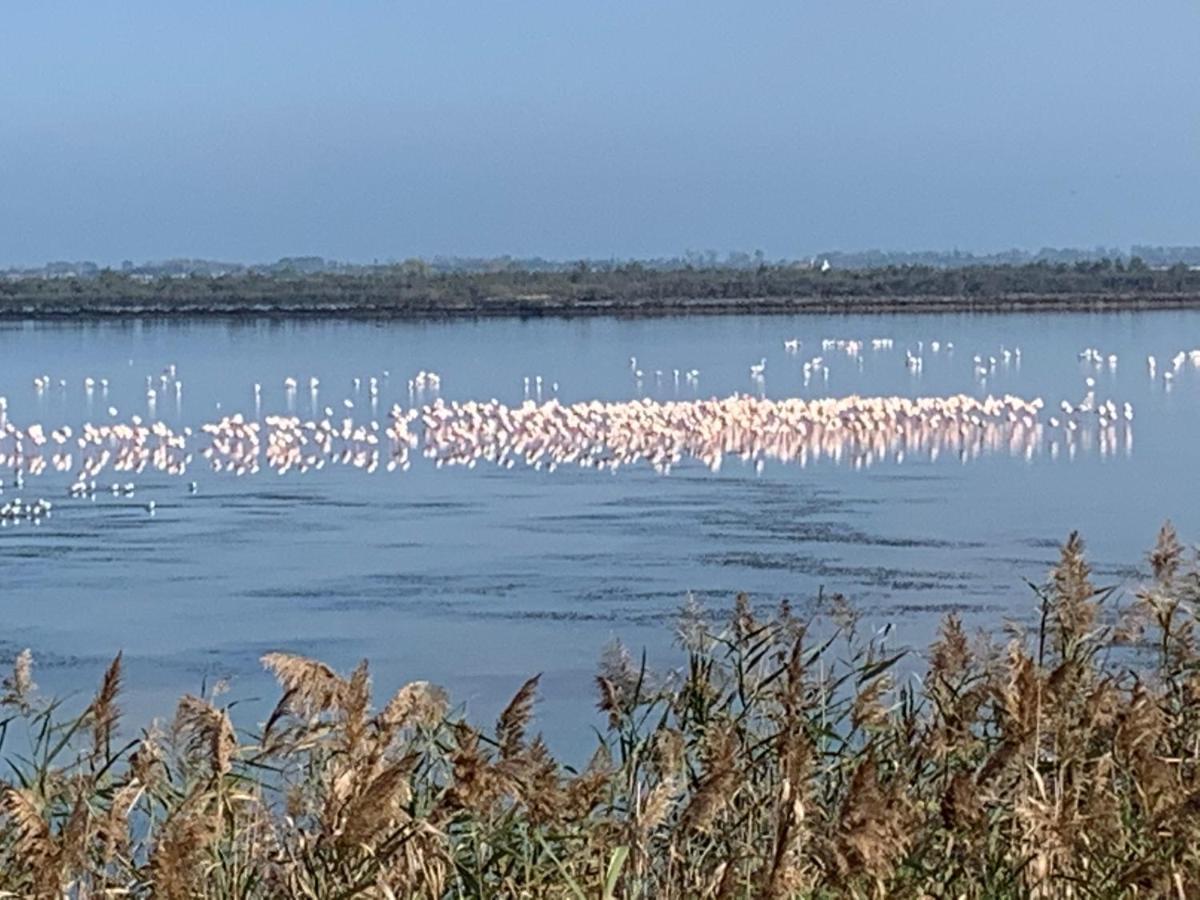 Azul - Privacy Tranquillita Natura E Mare Rosolina Mare Eksteriør billede